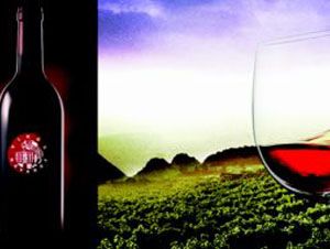El vino ecológico tiene el doble de contenido de resveratrol (anticancerígeno y antioxidante) que el convencional